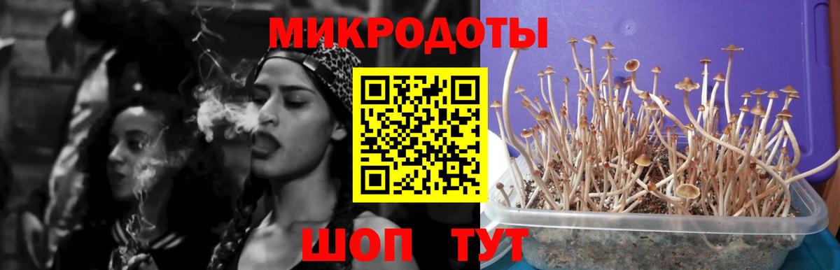 Галлюциногенные грибы прущие грибы Орск